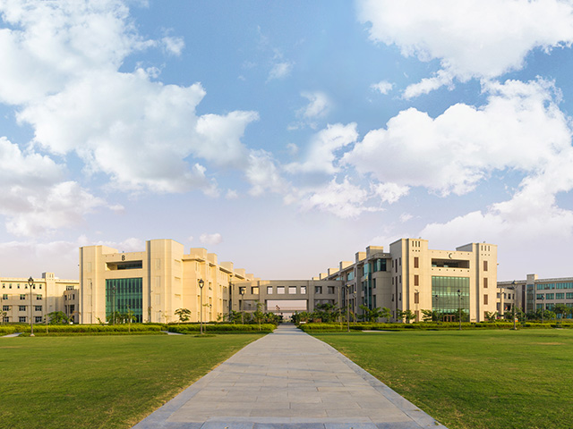 4 COLLABORATING SCHOOLS